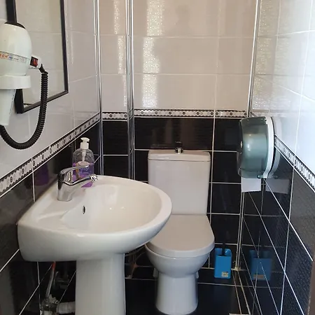 Metropolis & 게스트하우스