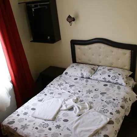 Metropolis & 게스트하우스