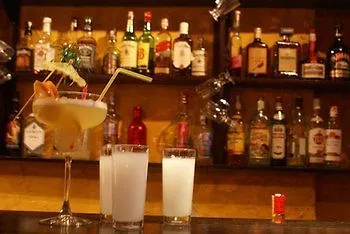 Metropolis & 게스트하우스