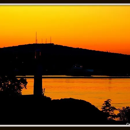 Metropolis & İstanbul