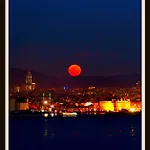 Metropolis & Guest house