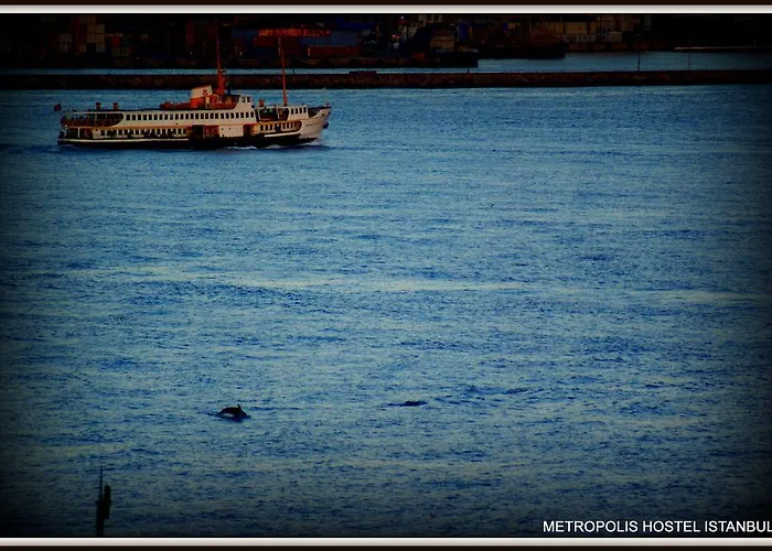 Гостевой дом Metropolis & 3*