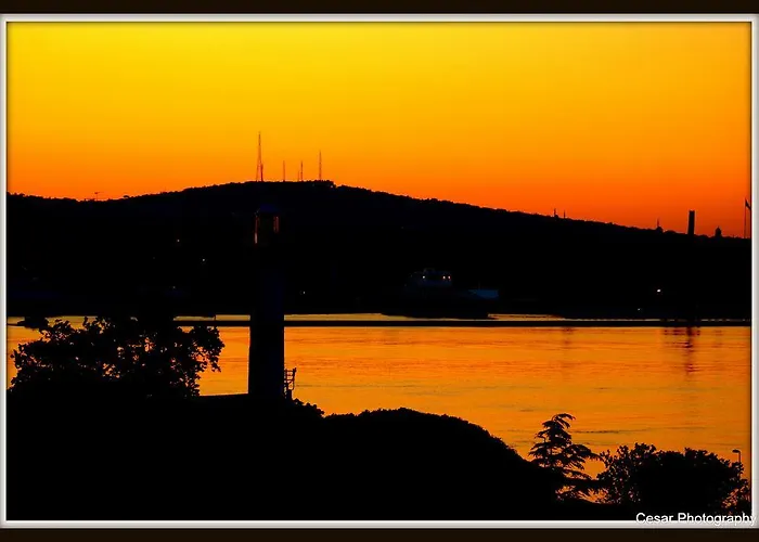 Metropolis & Стамбул