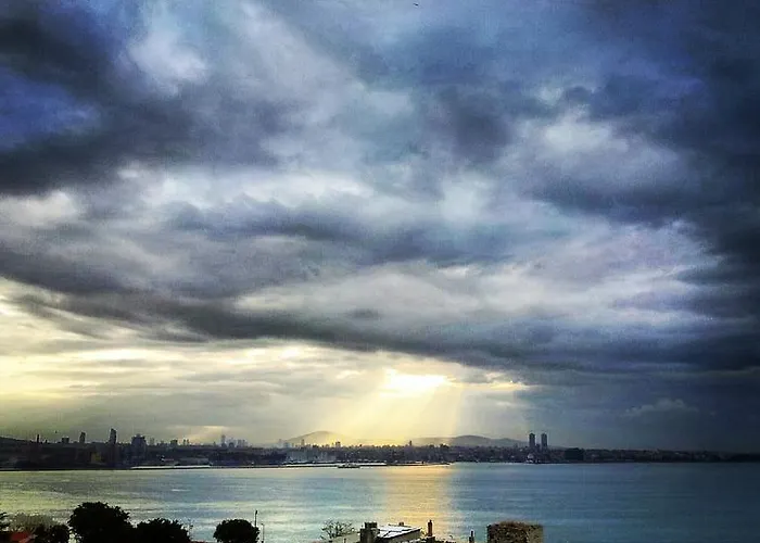 Metropolis & Стамбул